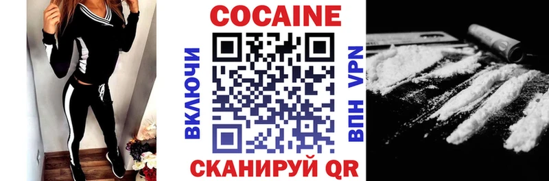 Cocaine Fish Scale  купить закладку  Сортавала 