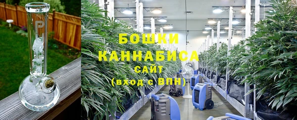 крисы Армянск