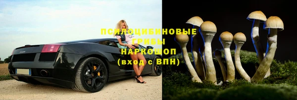 a pvp Аркадак