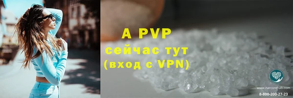 spice Арсеньев