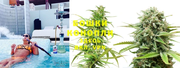 крисы Армянск