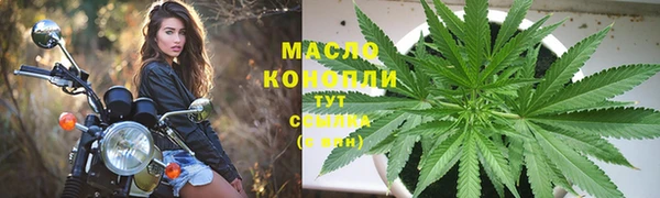 крисы Армянск