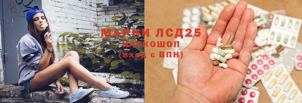 крисы Армянск