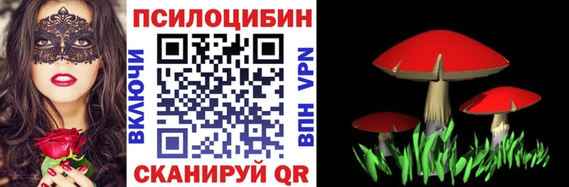 Галлюциногенные грибы Psilocybe  Сортавала 